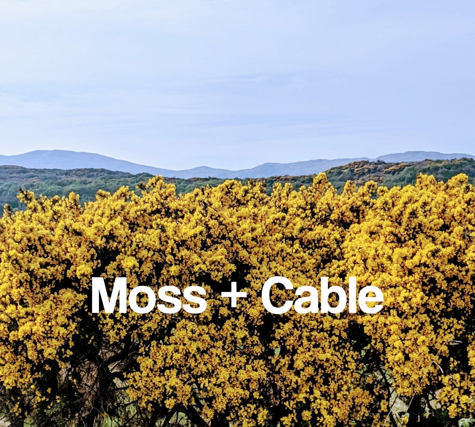 Moss + Cable E-Gift Card