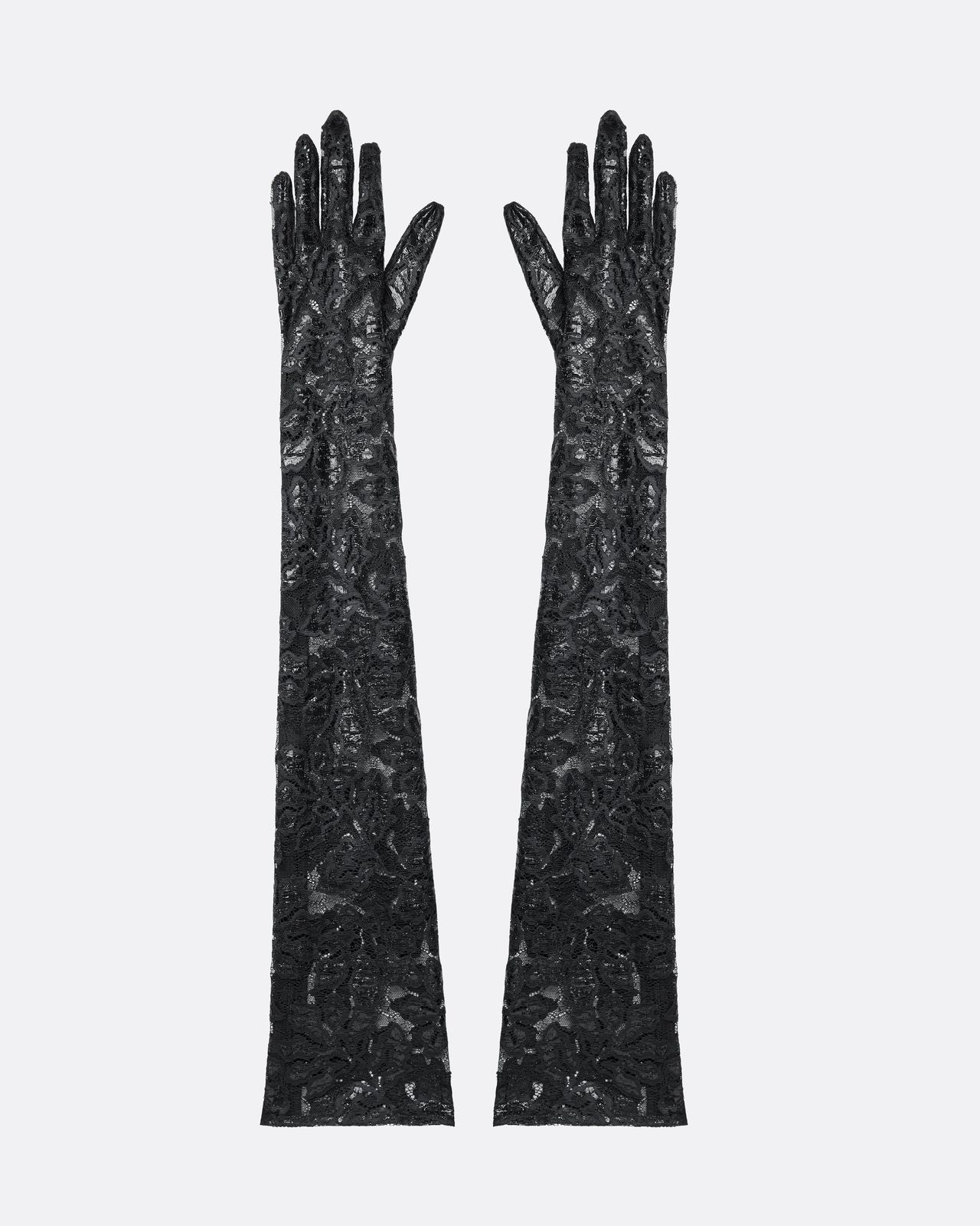 Long Gloves In Black Lace