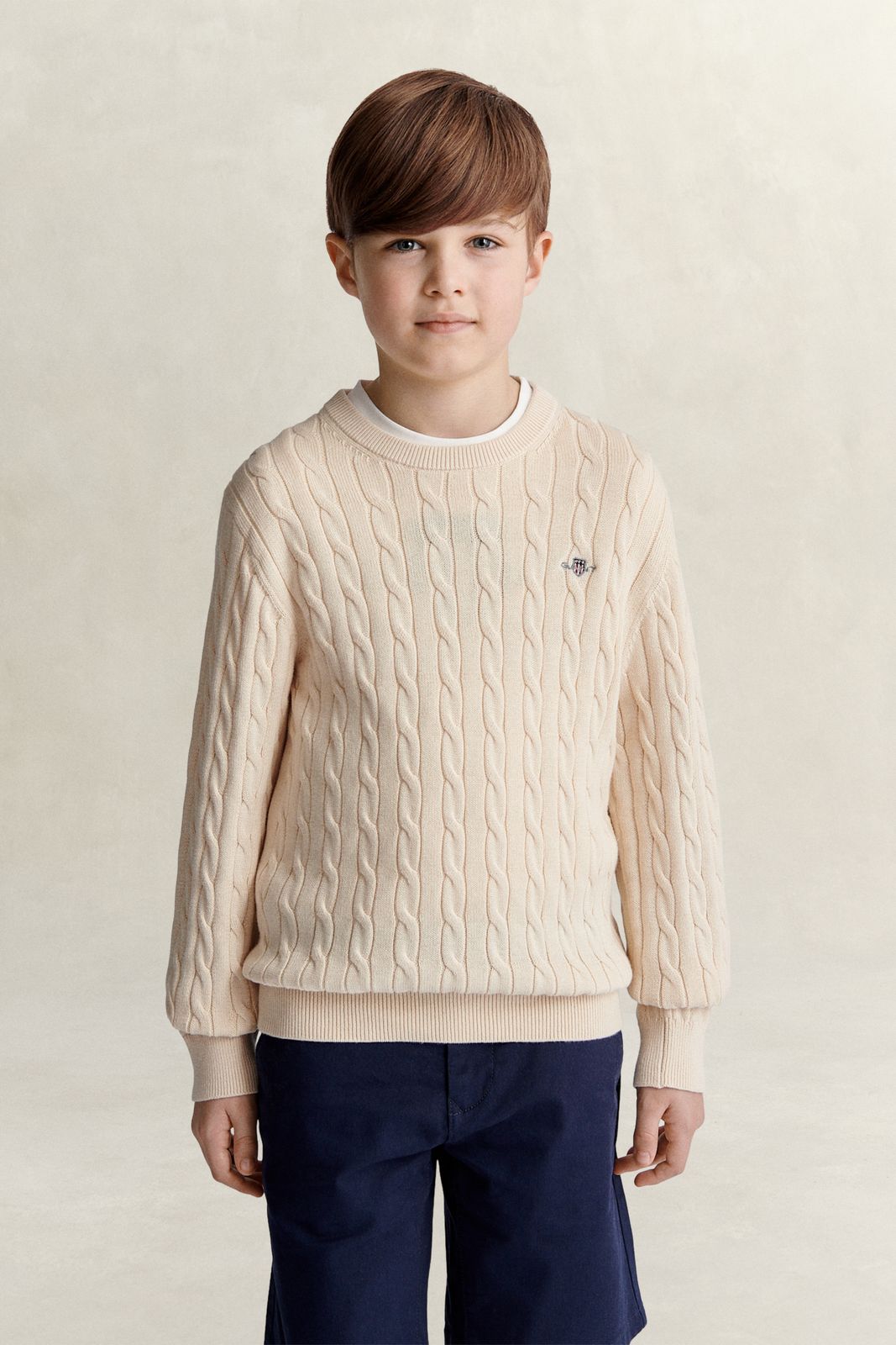 Teen Boys Shield Sweater - EVENING BLUE